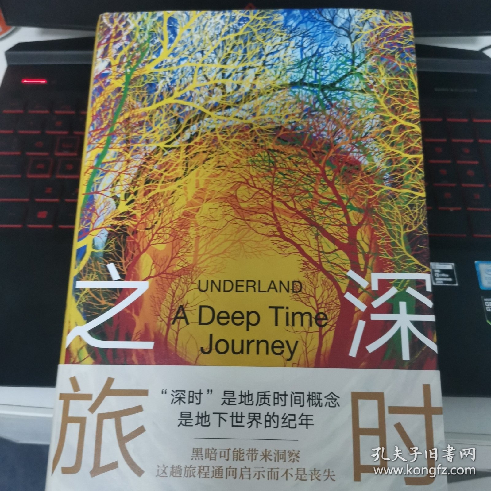 深时之旅（未来人类备忘录。反思明天，重启当下！剑桥学者、布克奖评委会主席高赞代表作）