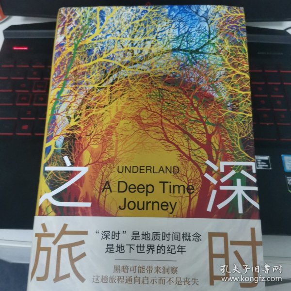 深时之旅（未来人类备忘录。反思明天，重启当下！剑桥学者、布克奖评委会主席高赞代表作）