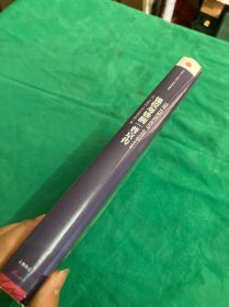 强权与铁腕 普京传