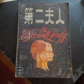 政治惊险小说《第二夫人》(欧文·华莱士 著;江西人民出版社1987年4月1版3印)(包邮)