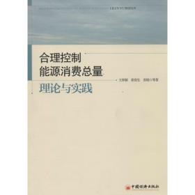合理控制能源消费量 经济理论、法规 王仲颖 新华正版