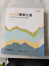 Excel图表之道：如何制作专业有效的商务图表