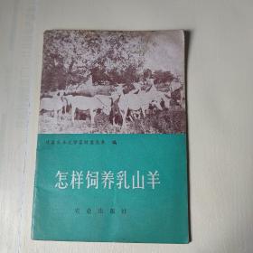 怎样饲养乳山羊