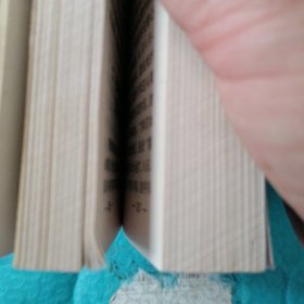 张学良暨东北军新论