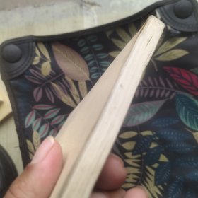 骂人的艺术：中国现代文学史参考资料 新月派文学作品专辑