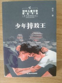 翌平儿童文学精品书系：少年摔跤王
