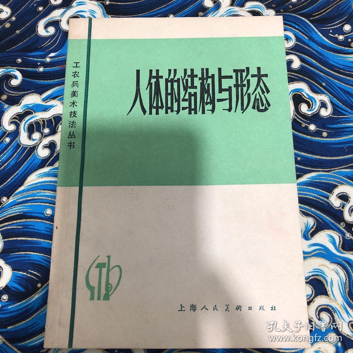人体的结构与形态