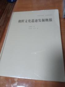 朝鲜文化遗迹发掘概报【未开封】