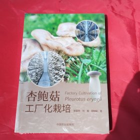 杏鲍菇工厂化栽培