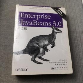 Enterprise JavaBeans 3.0中文版