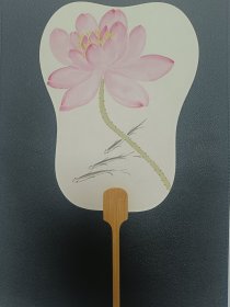 荷花扇子