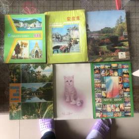 6本八几年的老日记本