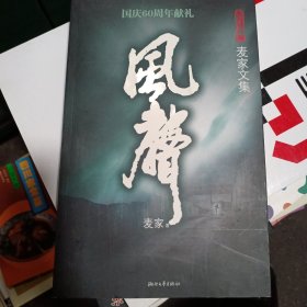 风声：麦家文集