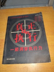真正的执行