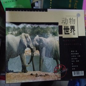 今日世界系列 动物世界（8vcd）