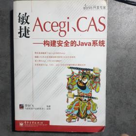 敏捷Acegi、CAS