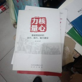 核心力量：基层党组织的动力、能力、魅力建设