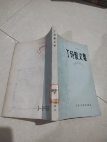 丁玲散文集