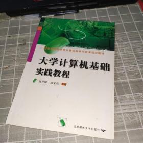 大学计算机基础实践教程