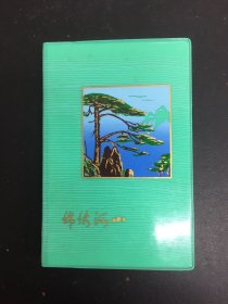 锦绣河山 1980年（塑料日记）