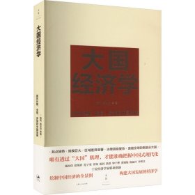 大国经济学 面向长期、全局、多维的中国发展