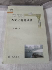 当文化遭遇风暴