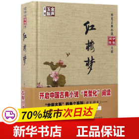 金声玉振系列 华夏古典小说分类阅读大系：红楼梦