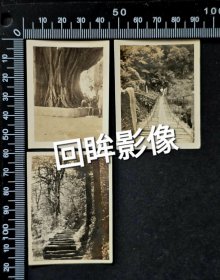 1939年避居重庆的文人毛体题字的游览峨眉山老照片3张合售