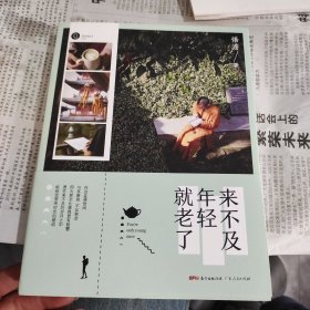 来不及年轻就老了（90后青年作家悟澹散文集，观照内心，分享旅居江南的禅意时光。）