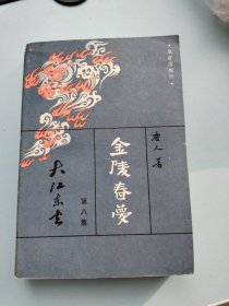 《金陵春梦》第八集（已包装）