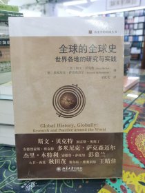 全球的全球史：世界各地的研究与实践/历史学的实践丛书