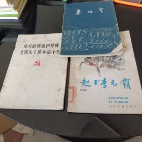 伟大的领袖和导师毛泽东主席永垂千古，秦始皇，赵王李元霸3本