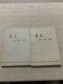 鲁迅杂文选，鲁迅小说选（两本合售）