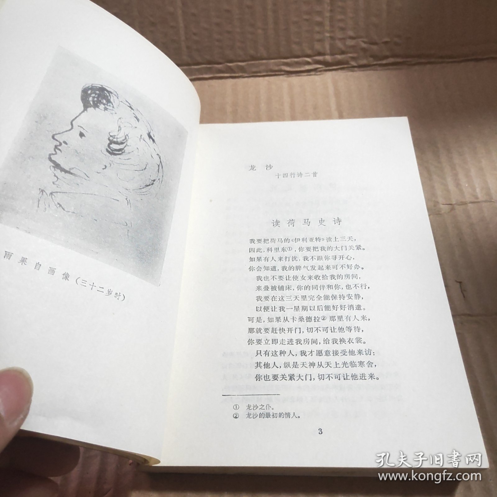 译文丛刊:在大海边