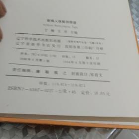 新编人体解剖手册