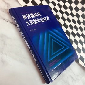 高效晶体硅太阳能电池技术 9787122349569