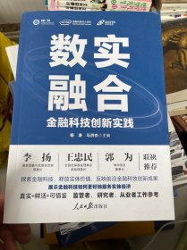 数实融合：金融科技创新实践