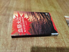 血祭大江 中日武汉会战纪实【1993年1版1印】