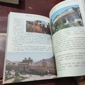 菩提树下太阳雨：印度心之旅