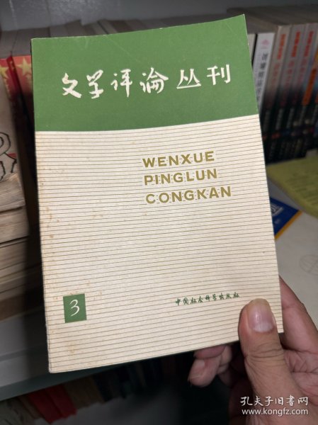 文学评论丛刊第三辑
