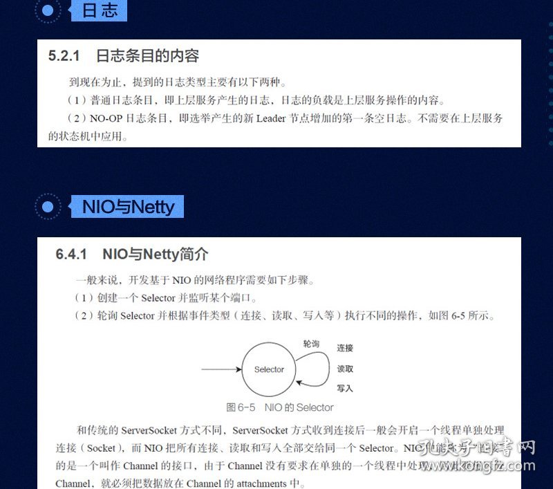 全新正版现货 分布式一致性算法开发实战 9787301312858 赵辰 北京大学出版社