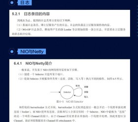 全新正版现货 分布式一致性算法开发实战 9787301312858 赵辰 北京大学出版社