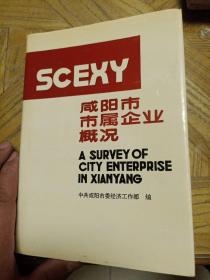 咸阳市市属企业概况