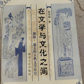 在文学与文化之间:漫游：逝去的古典文学星空