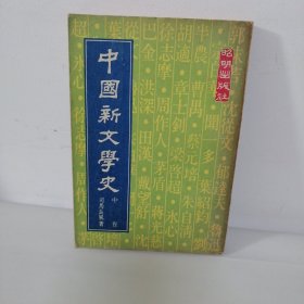中国新文学史（中卷）