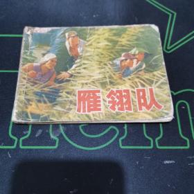 （连环画）雁翎队