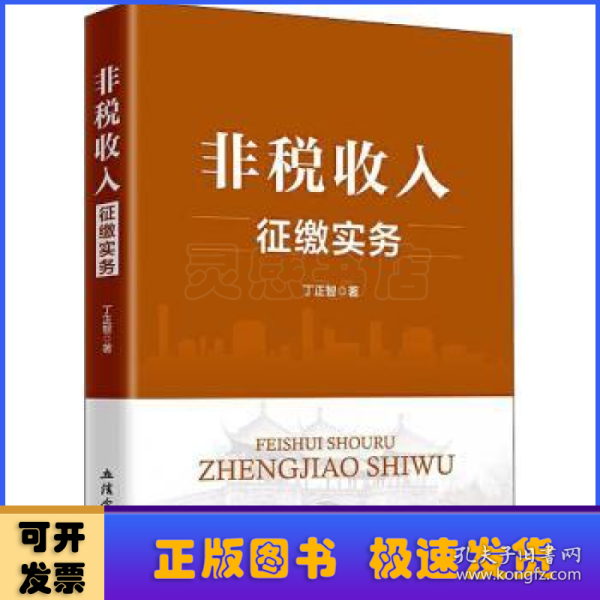 非税收入征缴实务