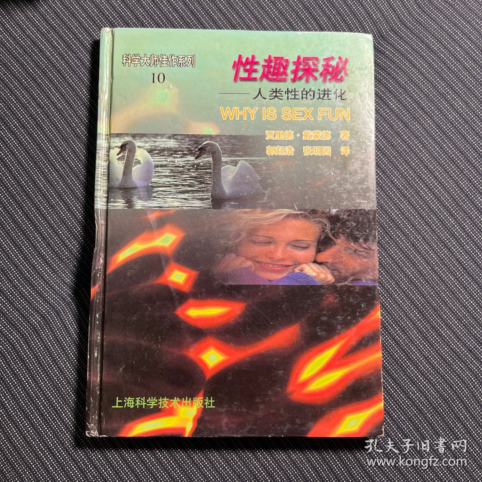 性趣探秘：人类性的进化