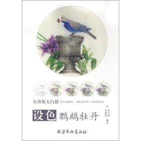 設(shè)色鸚鵡牡丹
