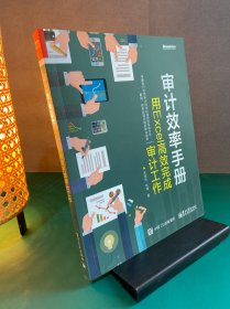 审计效率手册：用Excel高效完成审计工作